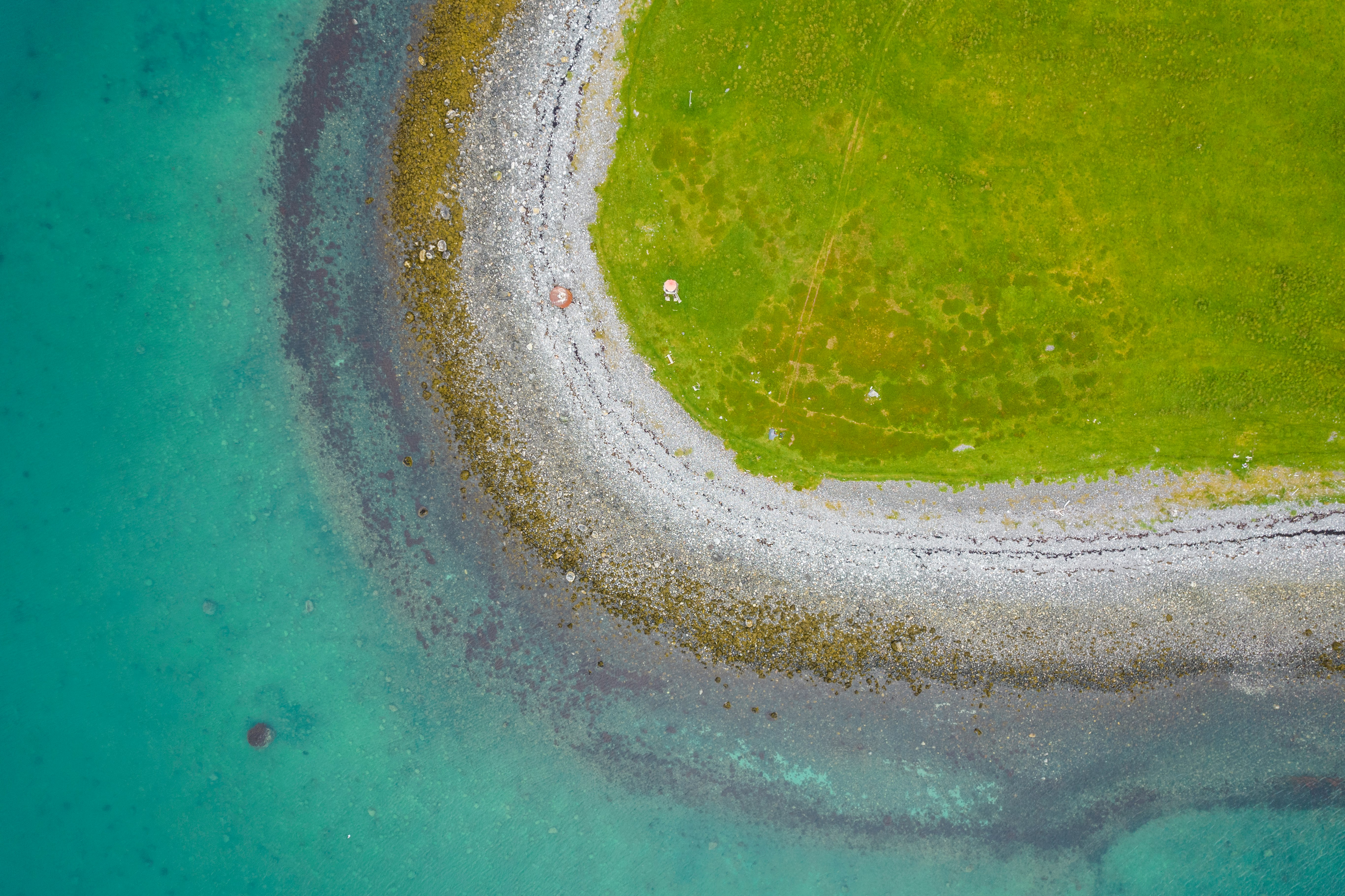 green and brown water in close up photography